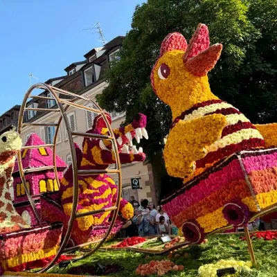 L’été à Sélestat : 50 évènements