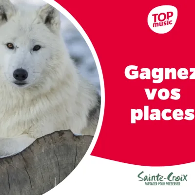 Top Music vous offre vos places pour le Parc de Sainte-Croix !