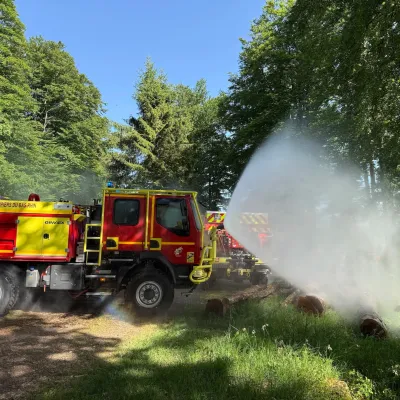 L’Alsace prête à lutter contre les feux de forêts