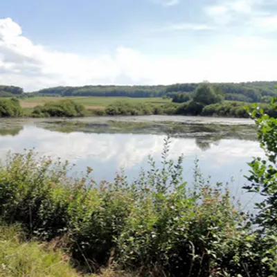 Les lauréats 2026 du programme Patrimoine Naturel & Biodiversité en...