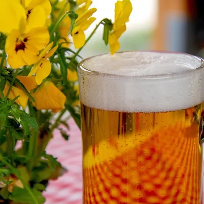 Montpellier, Béziers, Perpignan… La bière est en fête au mois de...