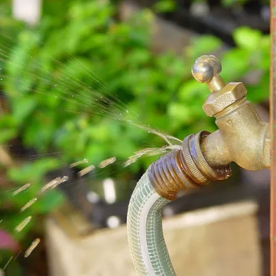 Pyrénées-Orientales : des chiens pour détecter les fuites d'eau