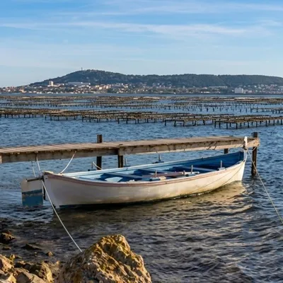 Le Bassin de Thau serre la vis sur le béton : Révision du SCoT