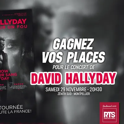 David Hallyday au Zénith Sud de Montpellier