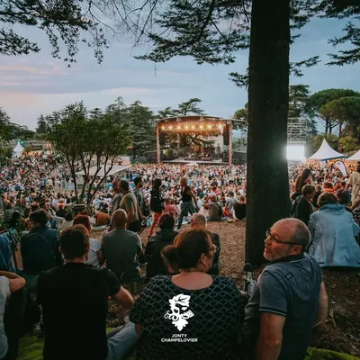 Bacchus Festival : Quand la musique, le vin et les produits du...