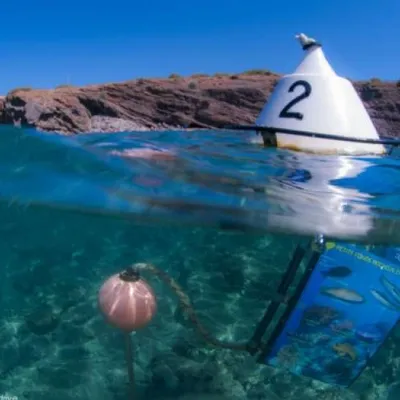 Hérault, Pyrénées-Orientales : Trois spots de snorkeling à explorer...