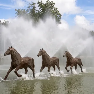 Béziers : des chevaux majestueux s'installent sur le canal du Midi...