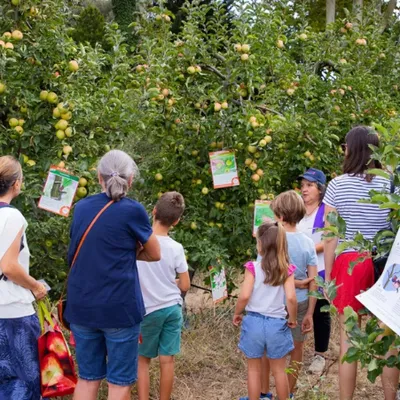 Près de Montpellier : la coopérative Cofruid'Oc ouvre ses portes...