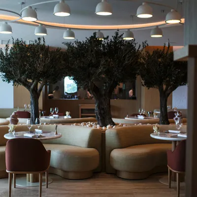 Près de Montpellier : Le nouveau souffle gastronomique du Domaine...