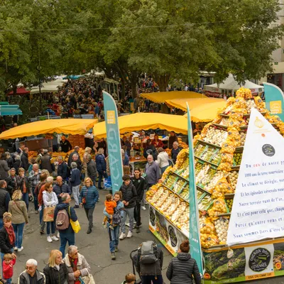 Gard : la pomme et l’oignon doux font leur 32ème foire au Vigan