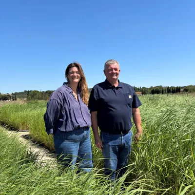 En Petite Camargue dans le Gard, l’eau se soigne par le végétal