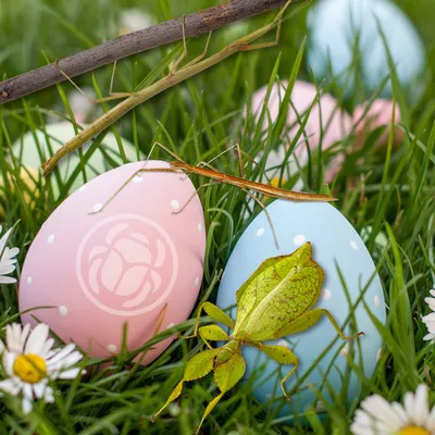 Aveyron : pendant les vacances, à Micropolis, on cherche les...