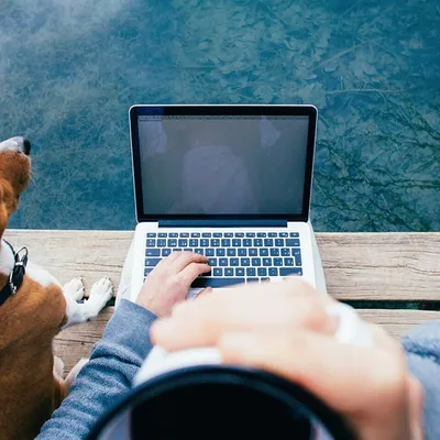Montpellier : Liv’Vet, une app pour nous éviter le stress des...