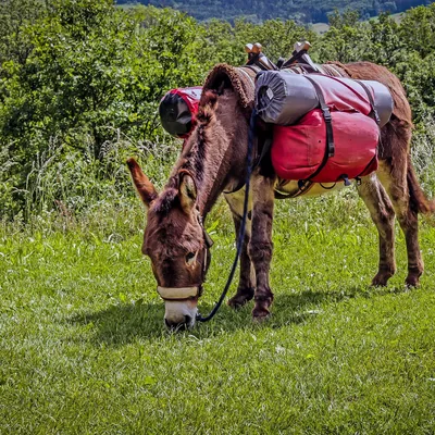 Golfe du Lion : et si vous lâchiez tout pour une rando... avec un...