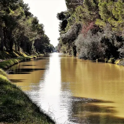 Canal du Midi : une association invite les communes riveraines à...