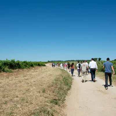 Gard : une première Œnorando lancée à Gallician pour mêler marche...