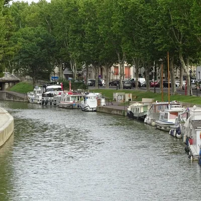 Narbonne : Report du Carnaval, annulation des marchés… ce qu’il...