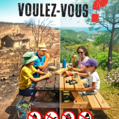 « Quelle forêt voulez-vous ? » : face à un été 2026 déjà...