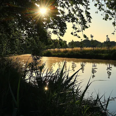 Occitanie : deux coups de pouce de 100 000 € pour sauver les arbres...