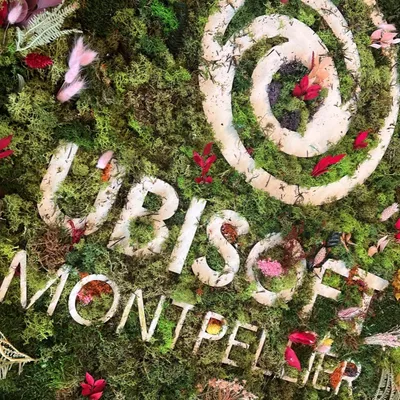 Prince of Persia: The Lost Crown,  Joyau d'Ubisoft Montpellier