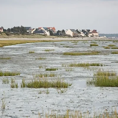 La Baie de Somme distinguée à l'échelle internationale