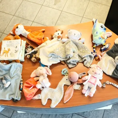 La Ville d'Arras lance un appel aux doudous perdus !