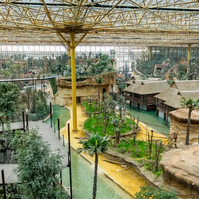 Pairi Daiza a inauguré un nouveau monde