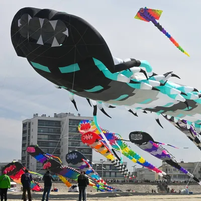 Nouveau record du monde battu à Berck-sur-Mer !