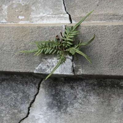 20 communes du Nord reconnues en état de catastrophe naturelle