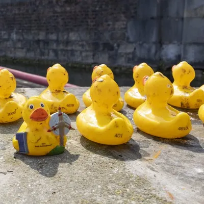 Le Ducks Day, c'est ce dimanche à Douai !