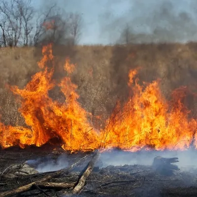 Risque élevé de feux de forêts dans l'Aisne