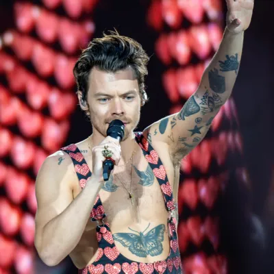 Harry Styles au Guiness Book des records