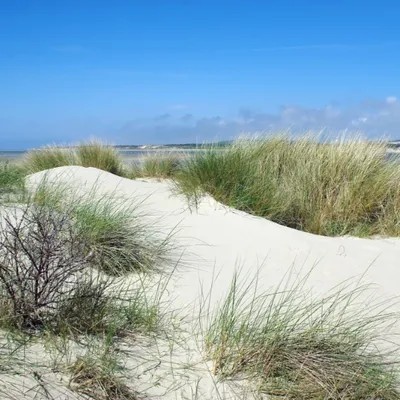 Pas-de-Calais : l'accès aux dunes temporairement interdit