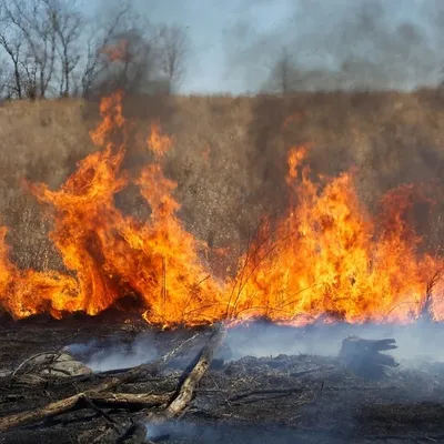 Risque d'incendie : le préfet du Pas-de-Calais renforce les mesures