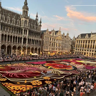 Un immense tapis de fleurs à observer à Bruxelles !