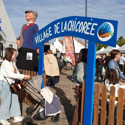 La Fête de la Chicorée de retour dans l'Audomarois