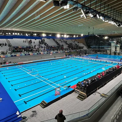 Natation : la France va accueillir une partie de la Coupe du Monde...
