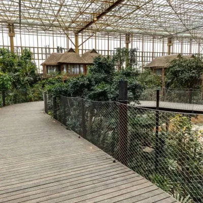 3 records du monde pour Pairi Daiza 