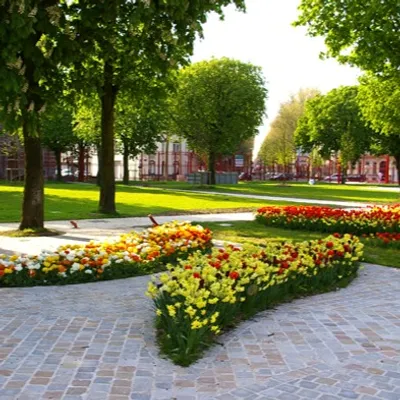 La Ville de Lille réactive son plan anti-chaleur