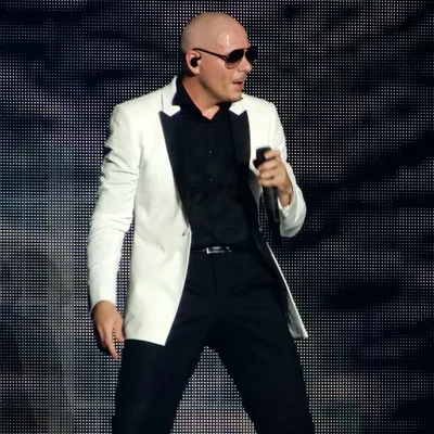 Pitbull entre au Guinness Book des records !