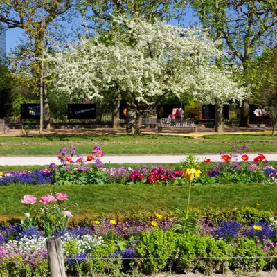 Le Jardin des plantes veut devenir Jardin botanique