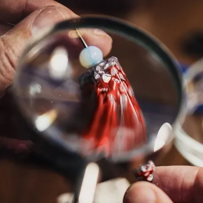 Une journée d'expertise gratuite à Lille !