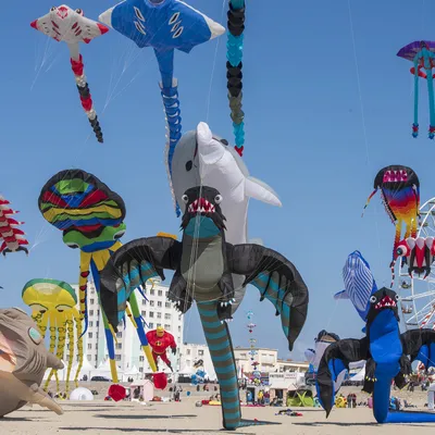 Le programme des Rencontres Internationales de Cerfs-Volants de...