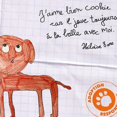 Journées portes ouvertes dans les refuges de la SPA