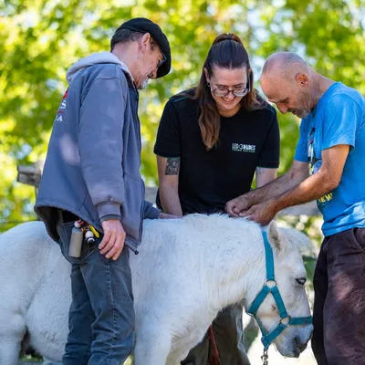Refuge des 3 Dindes : la médiation animale pour accompagner la...