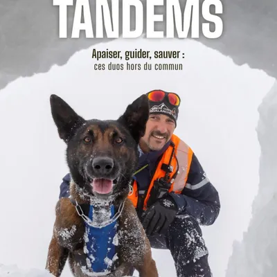Tandems : ces chiens qui changent des vies