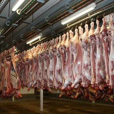 Saint-Céré : l’abattoir rouvre après 3 mois d’arrêt
