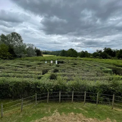 Corrèze : une balade poético-botanique aux Jardins de Colette 