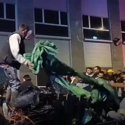 "C'est une catastrophe, un massacre" : colère des éleveurs...