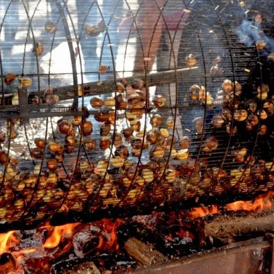 Cantal : C'est la saison des châtaignes ! 